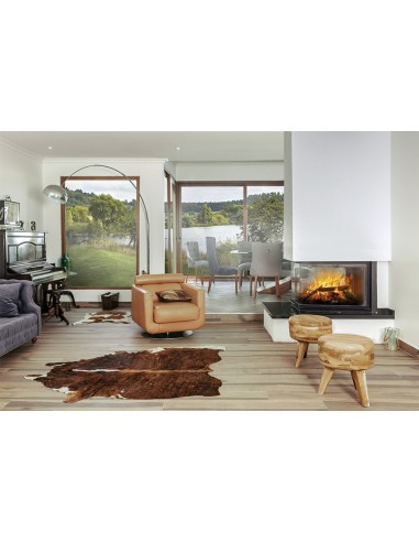 Chimenea Inserto Trifacial en sala.